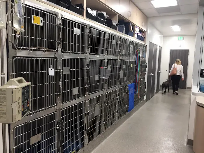 Paws & Claws Veterinary Hospital & Mobile Vet Picture 1