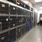 Paws & Claws Veterinary Hospital & Mobile Vet