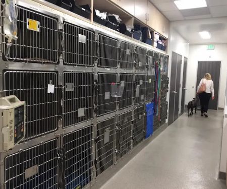 Paws & Claws Veterinary Hospital & Mobile Vet