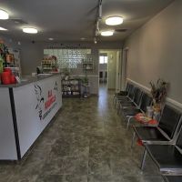 All Animals Veterinary Hospital ico