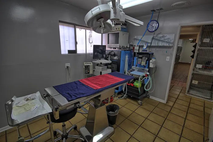 All Animals Veterinary Hospital Picture 5