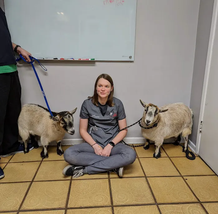 All Animals Veterinary Hospital Picture 7