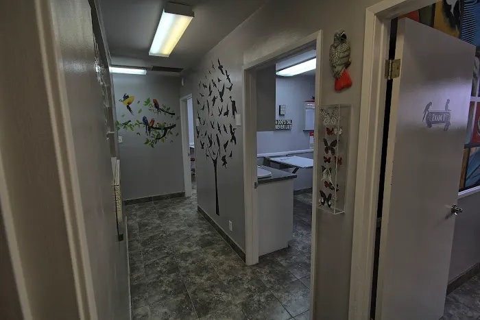 All Animals Veterinary Hospital Picture 8