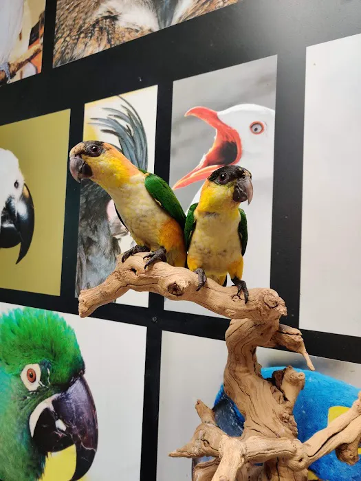 All Animals Veterinary Hospital Picture 9