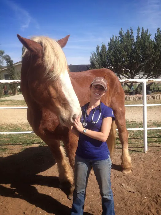 Vital Equine Holistic Veterinary Medicine Picture 1