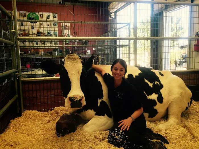 Vital Equine Holistic Veterinary Medicine Picture 3