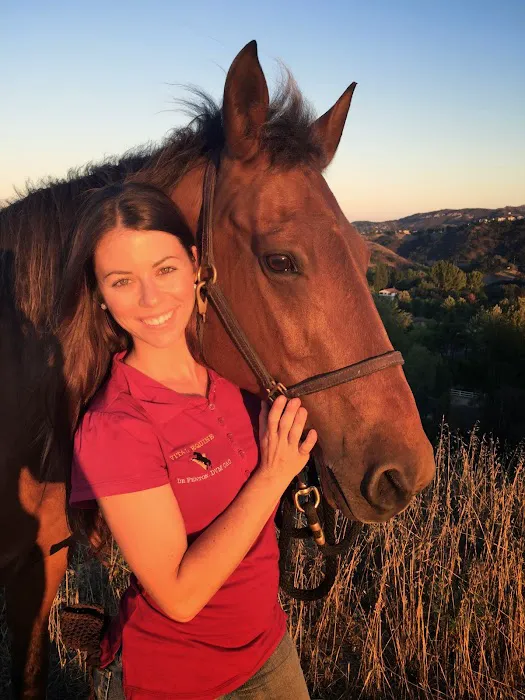 Vital Equine Holistic Veterinary Medicine Picture 10