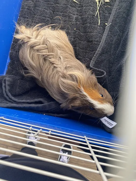 The Critter Care Center Picture 6