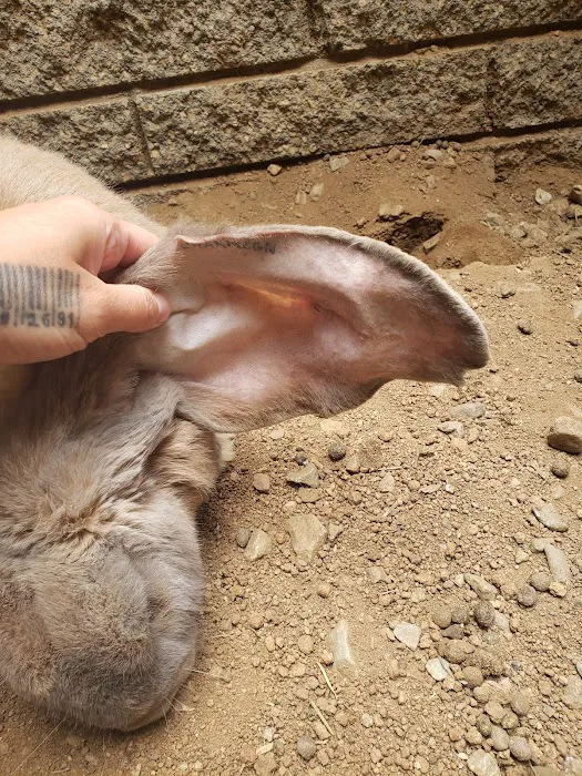 The Critter Care Center Picture 10