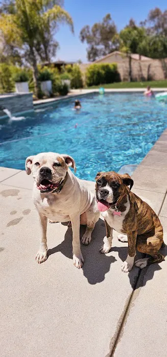 Atlas Pet Hospital Picture 3