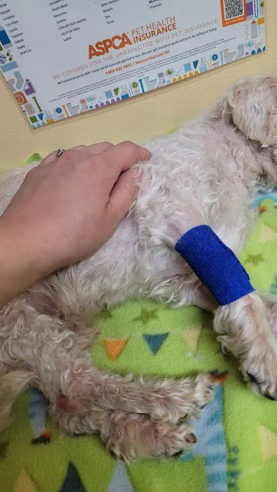 Atlas Pet Hospital Picture 9
