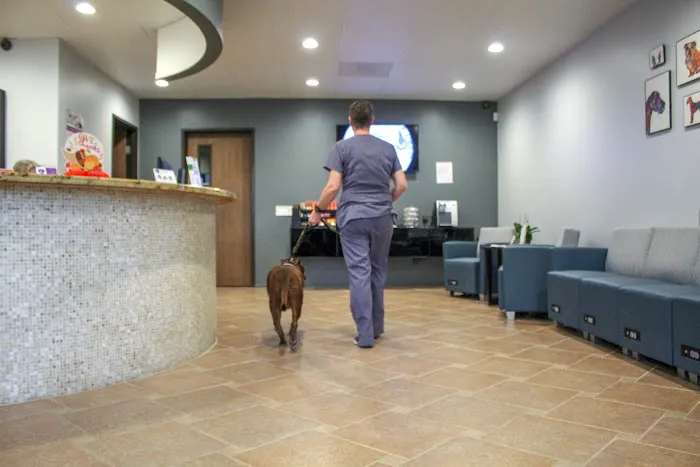 Sacred Hearts Veterinary Hospital Picture 2