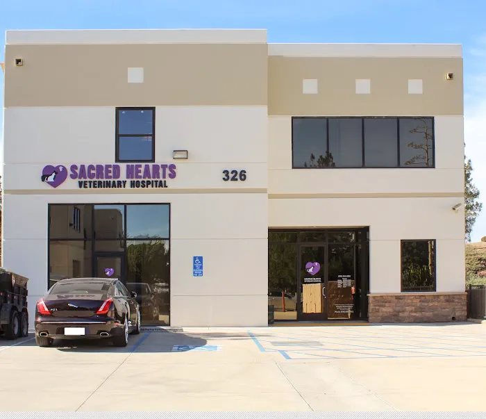 Sacred Hearts Veterinary Hospital Picture 1