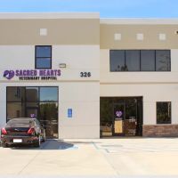 Sacred Hearts Veterinary Hospital ico
