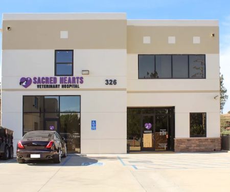 Sacred Hearts Veterinary Hospital