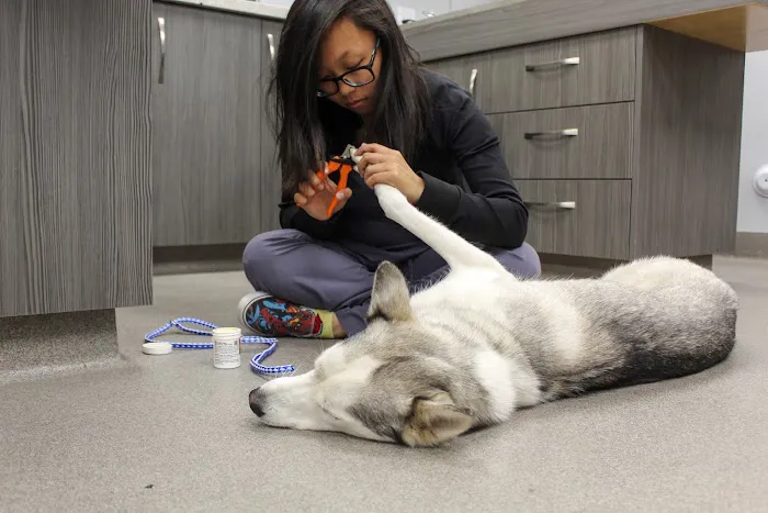 Sacred Hearts Veterinary Hospital Picture 5