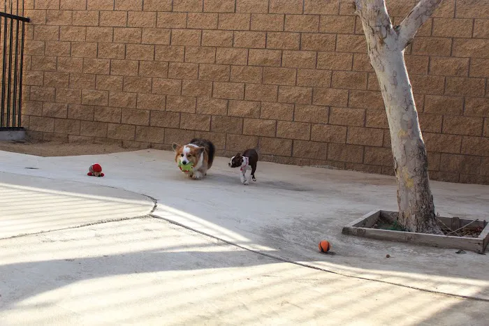 Sacred Hearts Veterinary Hospital Picture 10