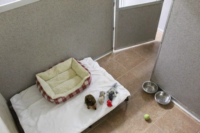 Sacred Hearts Veterinary Hospital Picture 9