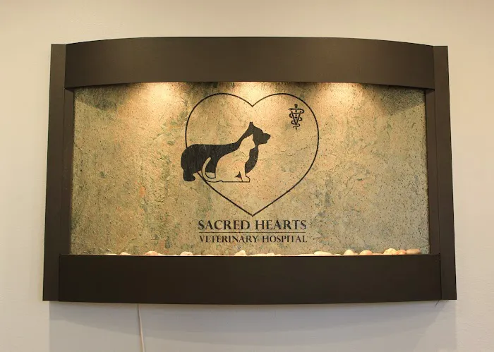 Sacred Hearts Veterinary Hospital Picture 7