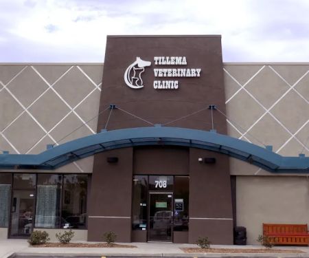 Tillema Veterinary Clinic