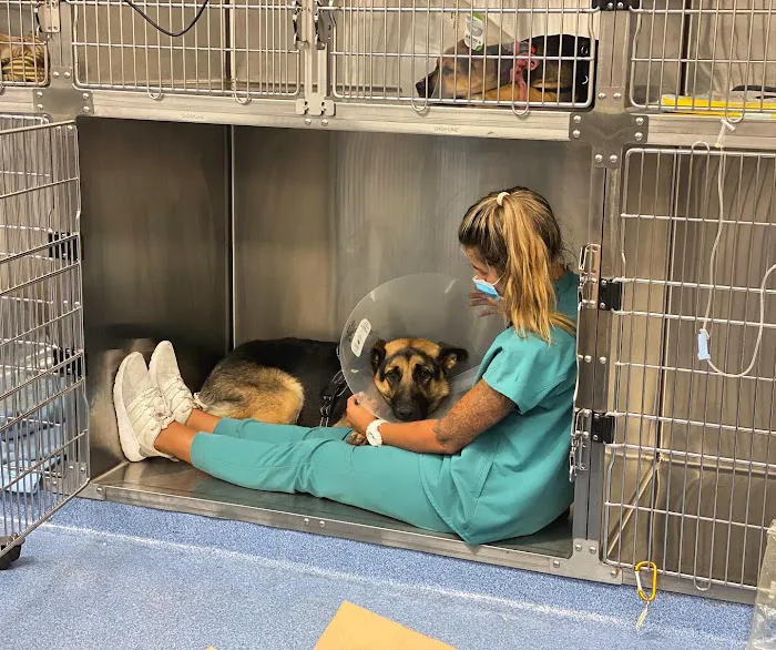Corona Animal Emergency Center Picture 6