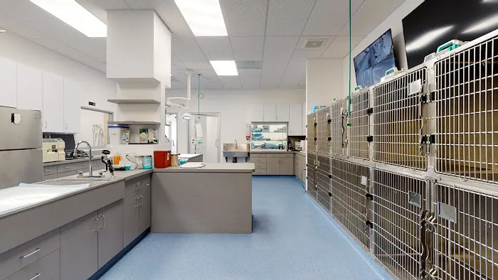 Corona Animal Emergency Center Picture 5