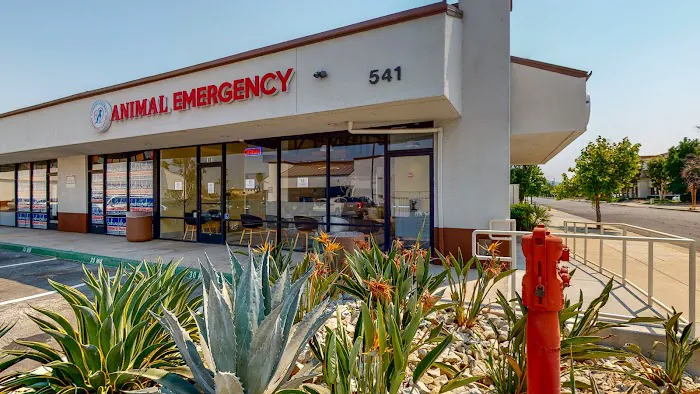 Corona Animal Emergency Center Picture 10