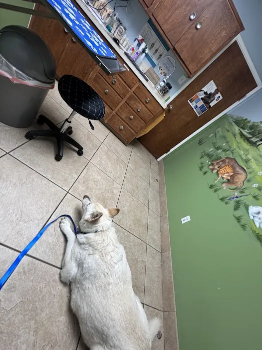 Corona Animal Hospital Picture 1