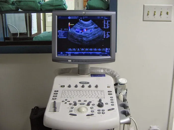 Corona Animal Hospital Picture 3