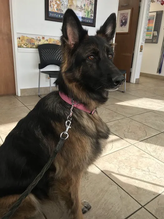 Corona Animal Hospital Picture 8
