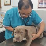 Center-La Sierra Pet Clinic