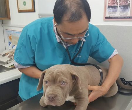 Center-La Sierra Pet Clinic
