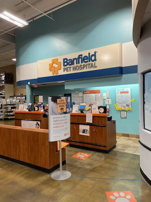 Banfield Pet Hospital Picture 2