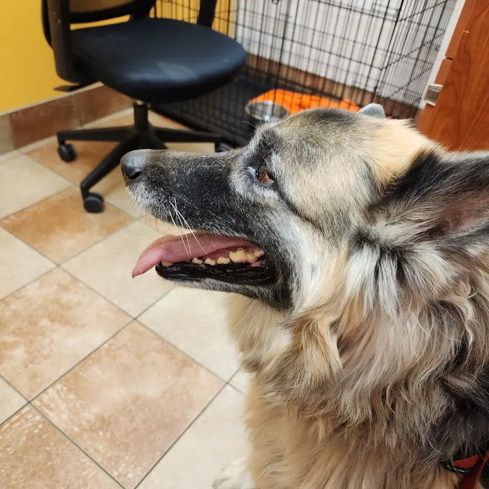Banfield Pet Hospital Picture 5
