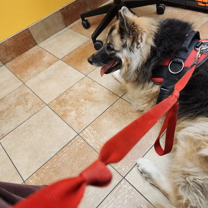 Banfield Pet Hospital Picture 10