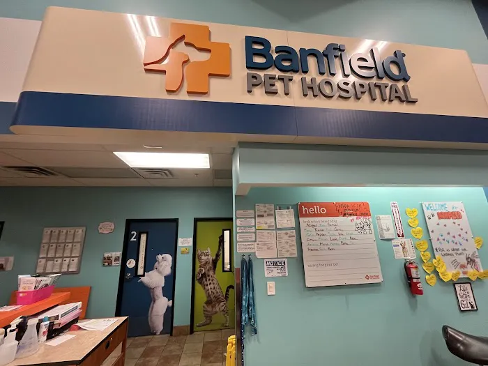 Banfield Pet Hospital Picture 9