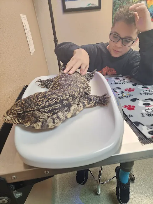 Animal Medical Center of Corona Picture 9