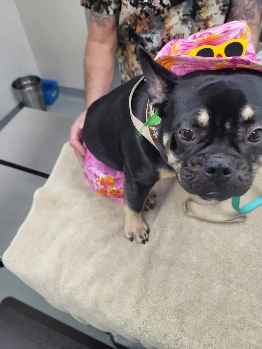 Animal Medical Center of Corona, Barton C. Huber, DVM, Dr. Bart Picture 1