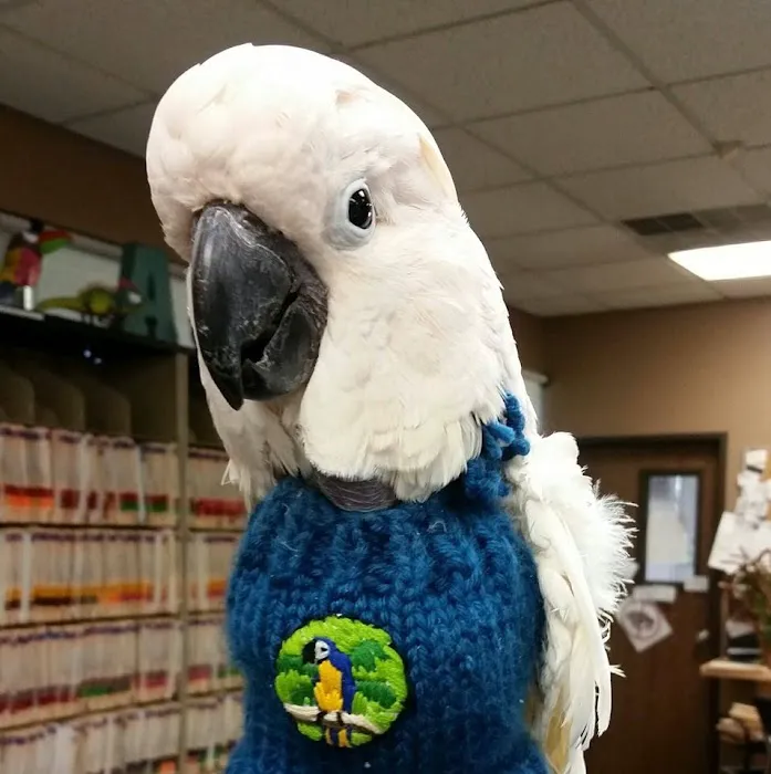 Animal Medical Center of Corona, Barton C. Huber, DVM, Dr. Bart Picture 5