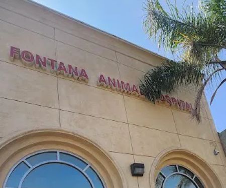 Fontana Animal Hospital