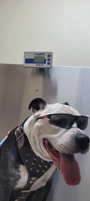 Fontana Animal Hospital Picture 2