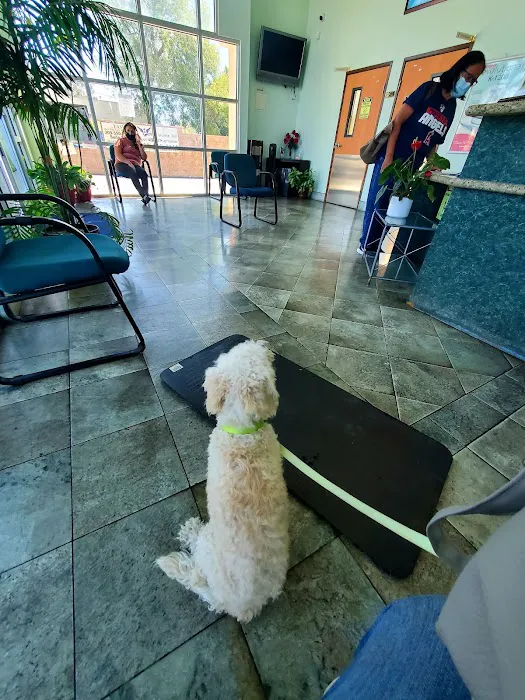 Fontana Animal Hospital Picture 3