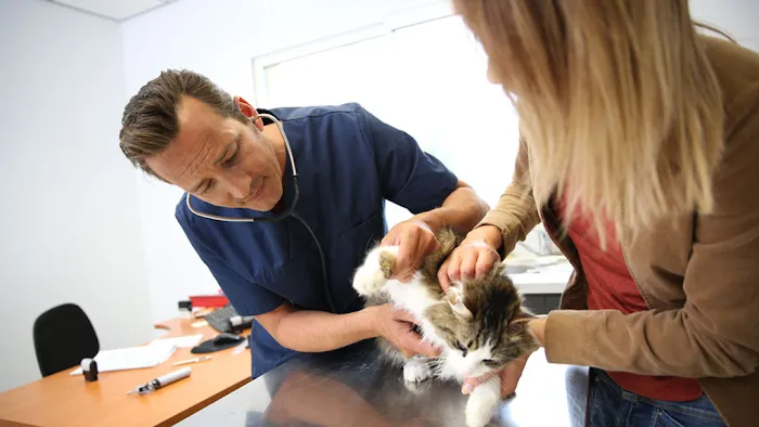 Fontana Animal Hospital Picture 8