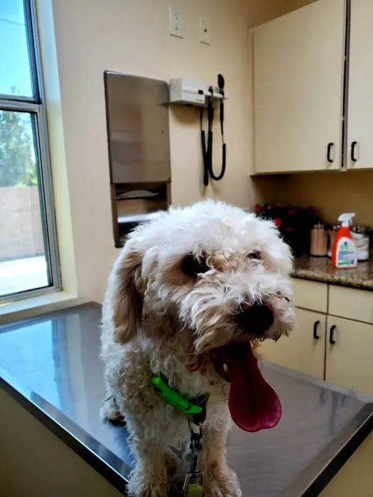 Fontana Animal Hospital Picture 9