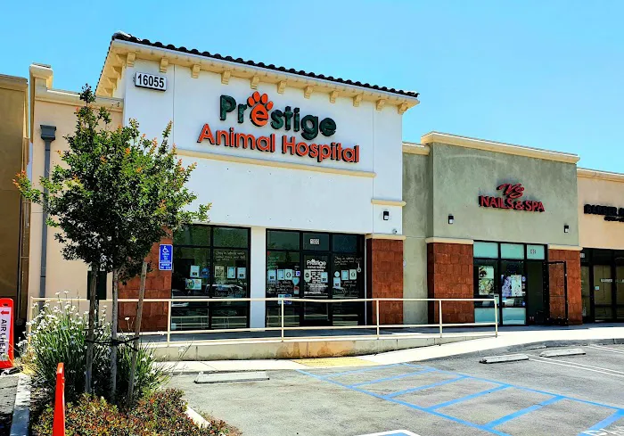Prestige Animal Hospital - North Fontana Picture 2