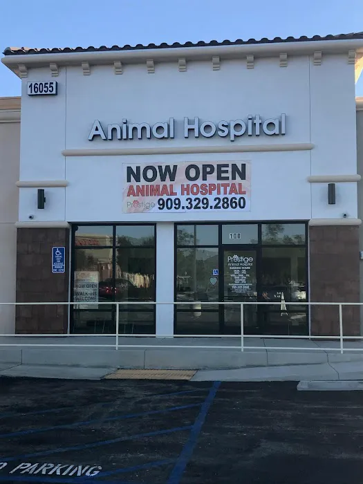 Prestige Animal Hospital - North Fontana Picture 10