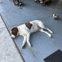Rancho Cucamonga ico