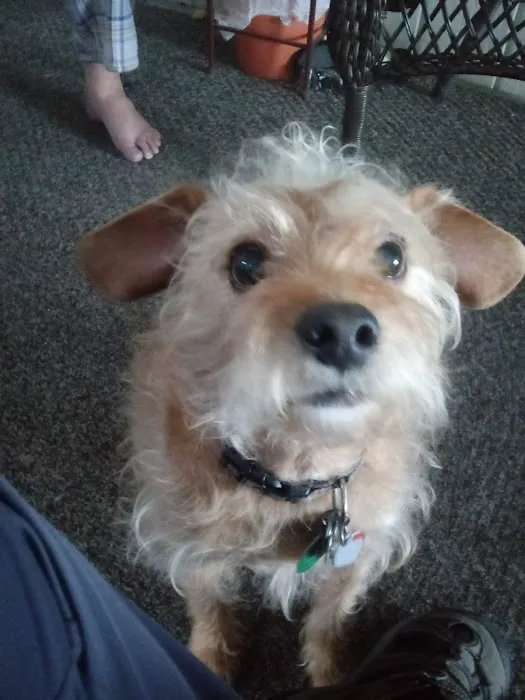 Banfield Pet Hospital Picture 2