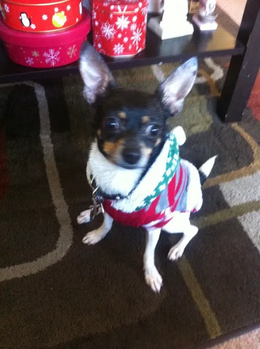 Banfield Pet Hospital Picture 7