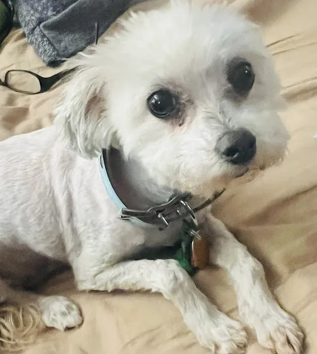 Banfield Pet Hospital Picture 6